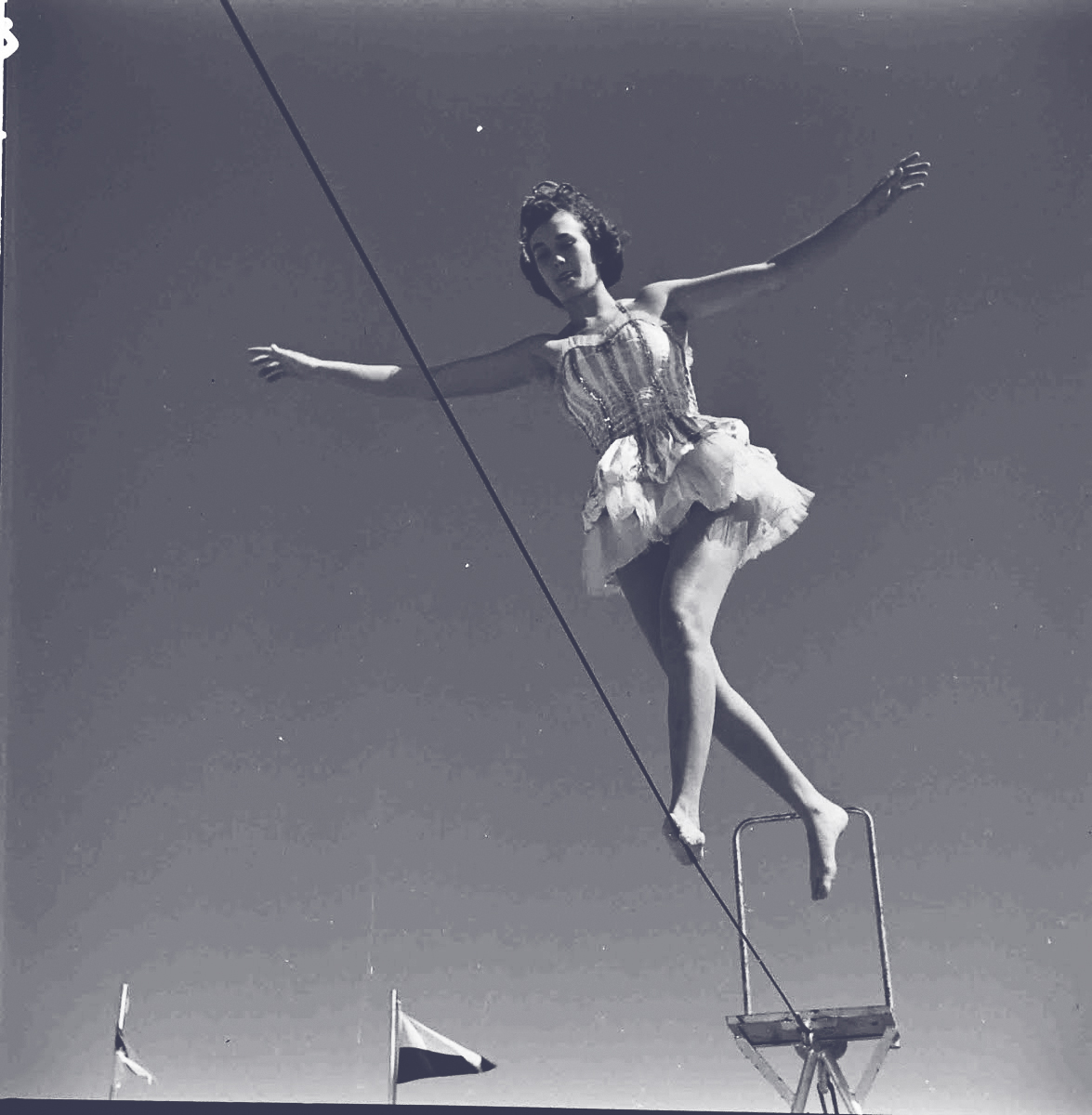 BOLD-tightrope-walker-dark-slate.jpg